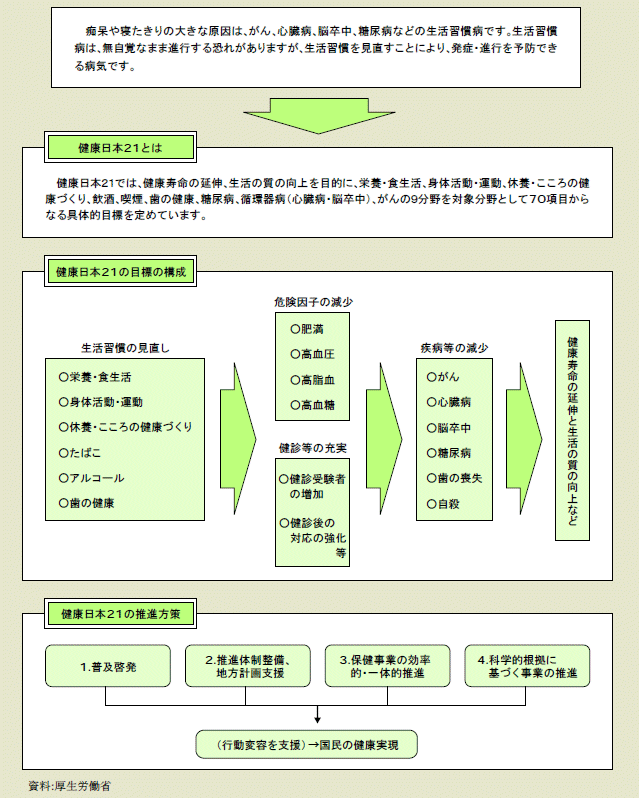 図３－２－１健康日本21について