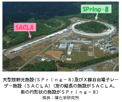 大型放射光施設（Spring－8）及びX線自由電子レーザー施設（SACLA)