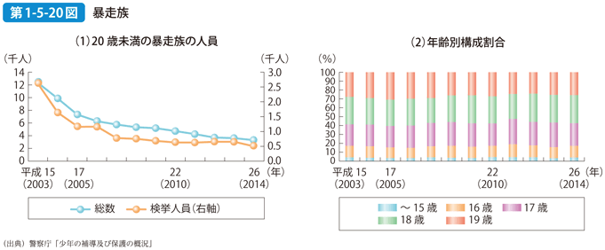 第1-5-20図 暴走族