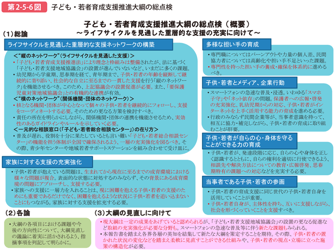 第2-5-6図 子ども・若者育成支援推進大綱の総点検