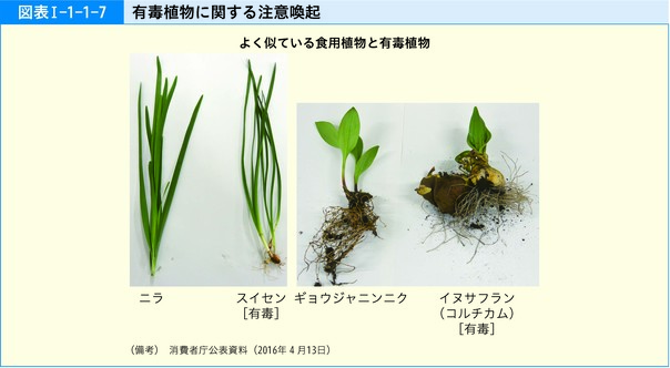 図表Ⅰ-1-1-7 有毒植物に関する注意喚起