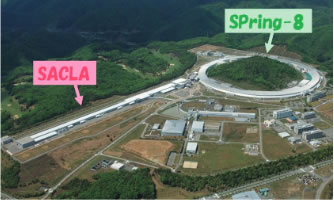 大型放射光施設（SPring‐8）及びＸ線自由電子レーザー施設（SACLA）