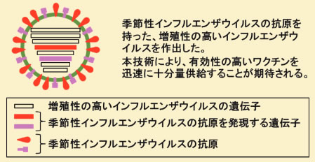 ワクチン製造における本技術の活用イメージ