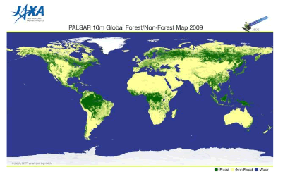 2009年版全球森林マップ