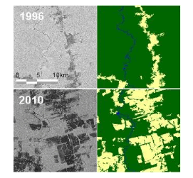 アマゾン・パラ州の1996年と2010年の比較