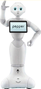 Pepper