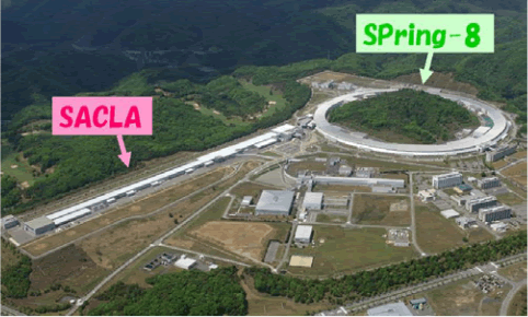 大型放射光施設（SPring‐8）及びX線自由電子レーザー施設（SACLA）