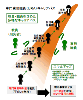 （1）京都大学におけるリサーチ・アドミニストレーターのキャリアパスの概要