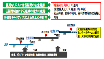 （2）東京農工大学におけるリサーチ・アドミニストレーターのキャリアパスの概要