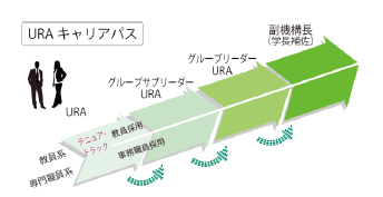 （3）金沢大学におけるリサーチ・アドミニストレーターのキャリアパスの概要