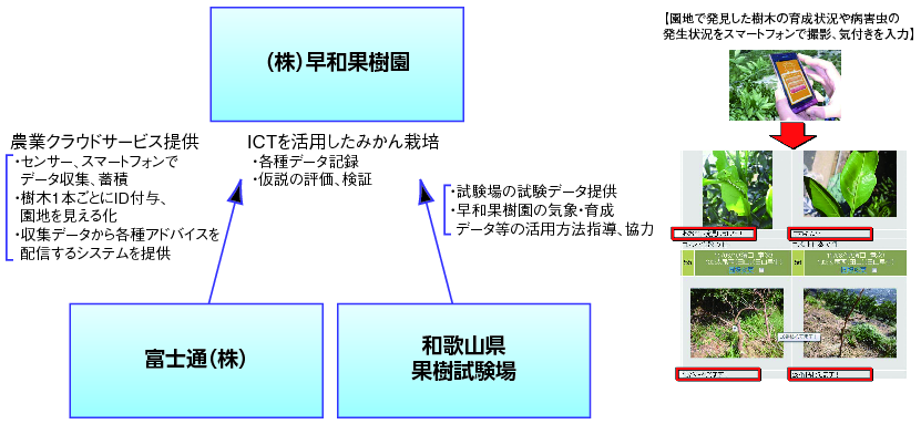 図表1-5-2-18 ICTを活用してデータに基づいた高品質みかんの栽培に取り組む