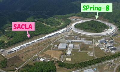 大型放射光施設（SPring-8）及びX線自由電子レーザー施設（SACLA）