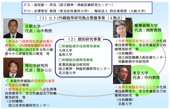 図5 再生医療の実現化プロジェクトの実施体制