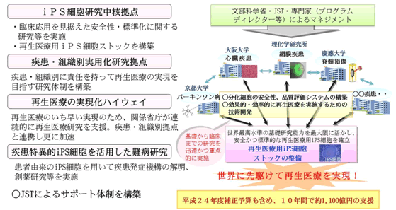 図12 再生医療実現拠点ネットワークプログラム