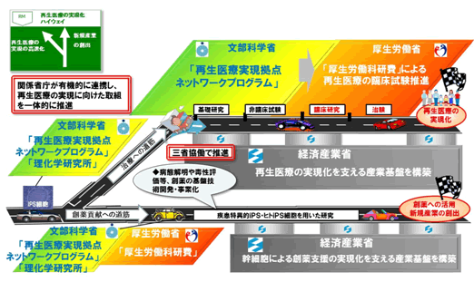 図13 三省協働による再生医療の実現化ハイウェイ構想