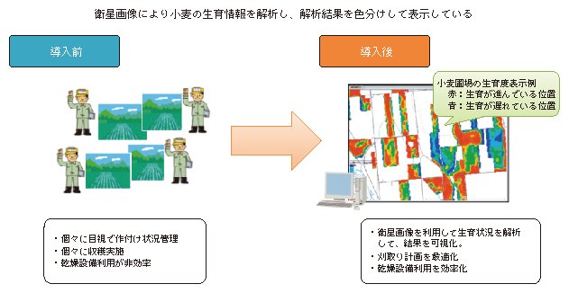 図表2-2-2-1 小麦圃場の衛星画像解析