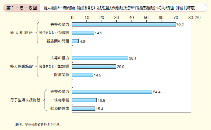 第6図 婦人相談所一時保護所（委託を含む）並びに婦人保護施設及び母子生活支援施設への入所理由（平成19年度）