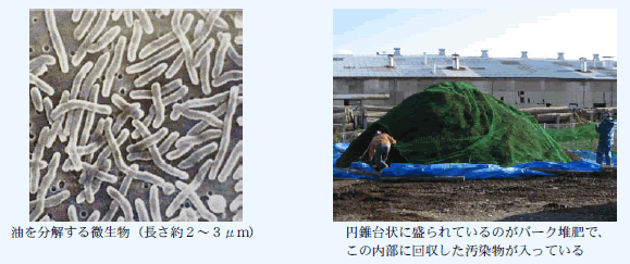 第1－2－12図 大船渡湾の漂着油回収物のバイオ処理実証実験