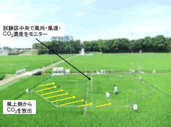 第2－2－7図 (1) 農林水産省委託プロジェクト研究「気候変動に対応した循環型食料生産等の確立のための技術開発」研究成果（１）（２）