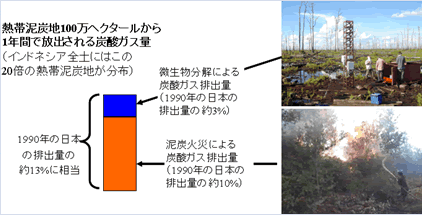 第1‐1‐10 図 熱帯泥炭地100万ヘクタールから1年間で放出される炭酸ガス量の測定結果