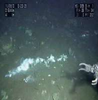 写真2－5－12：有人潜水調査船「しんかい6500」による東北地方太平洋沖地震震源海域調査