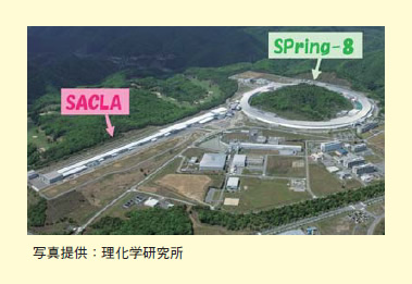 図表2－5－8 大型放射光施設（SPring－8）及びX線自由電子レーザー施設（SACLA）