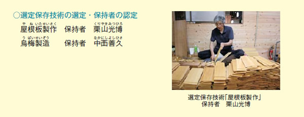 図表2－7－21 平成23年度の選定保存技術の選定・認定（23年9月選定・認定）