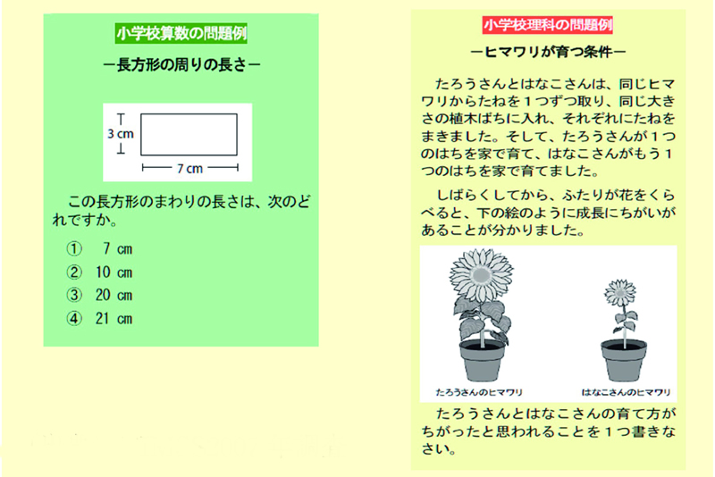 図表 1-1-4 TIMSS の問題例