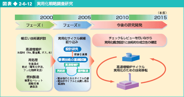 図表2-6-12 実用化戦略調査研究