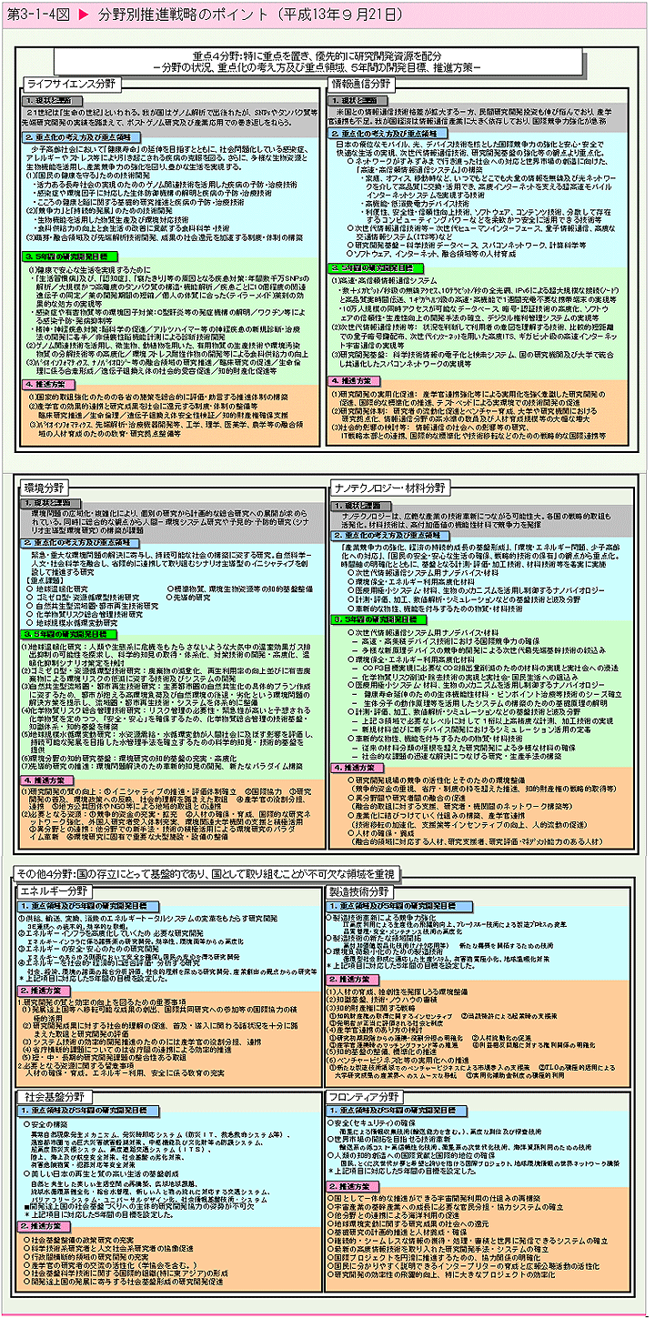   分野別推進戦略のポイント（平成13年9月21日）