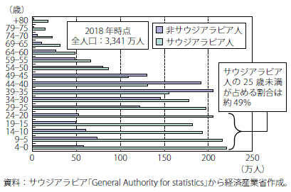 第Ⅰ-2-6-1-16図　サウジアラビアの年齢別国籍別人口（2018年1月）