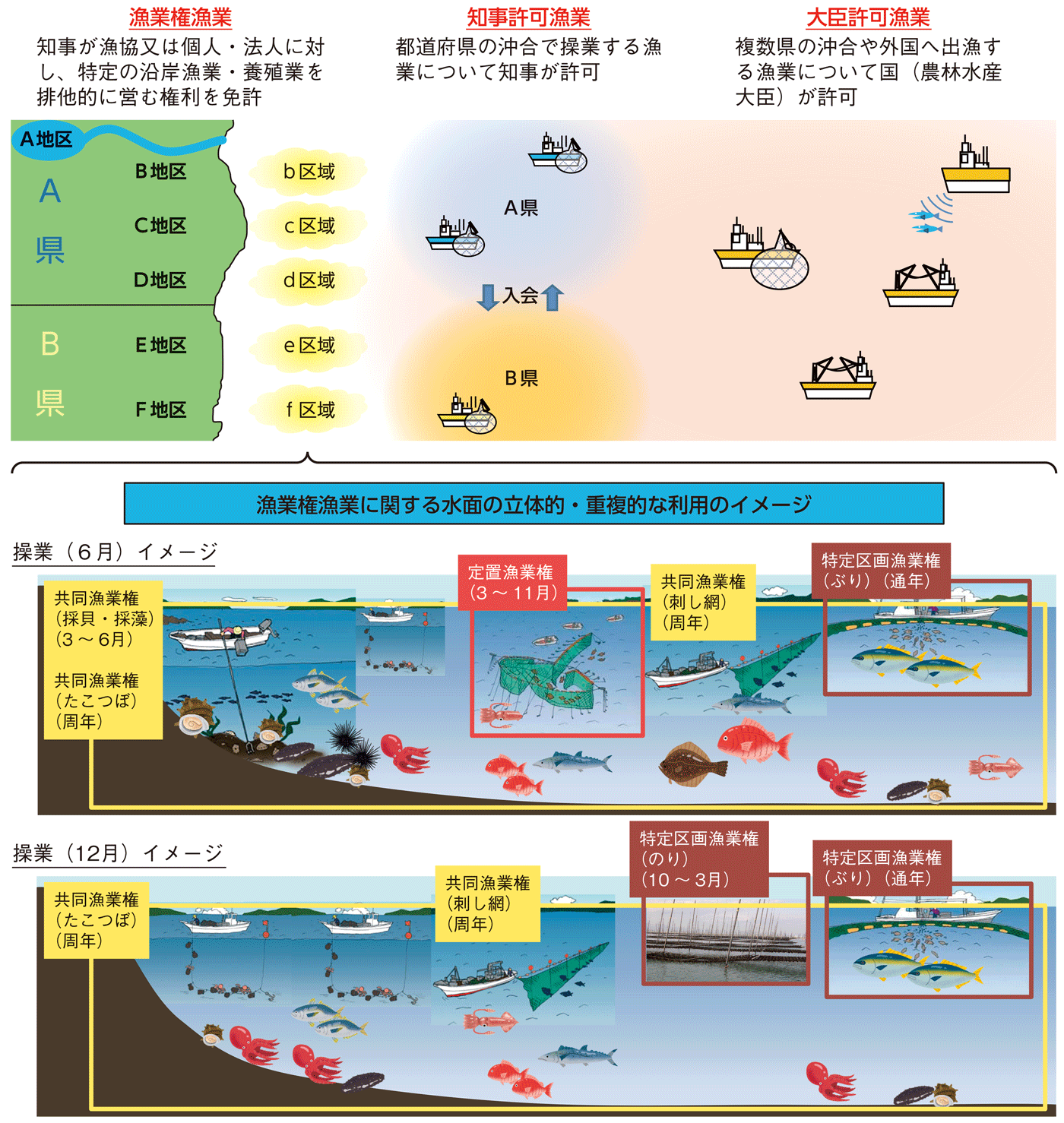 図1-6 漁業権制度及び漁業許可制度の概念図