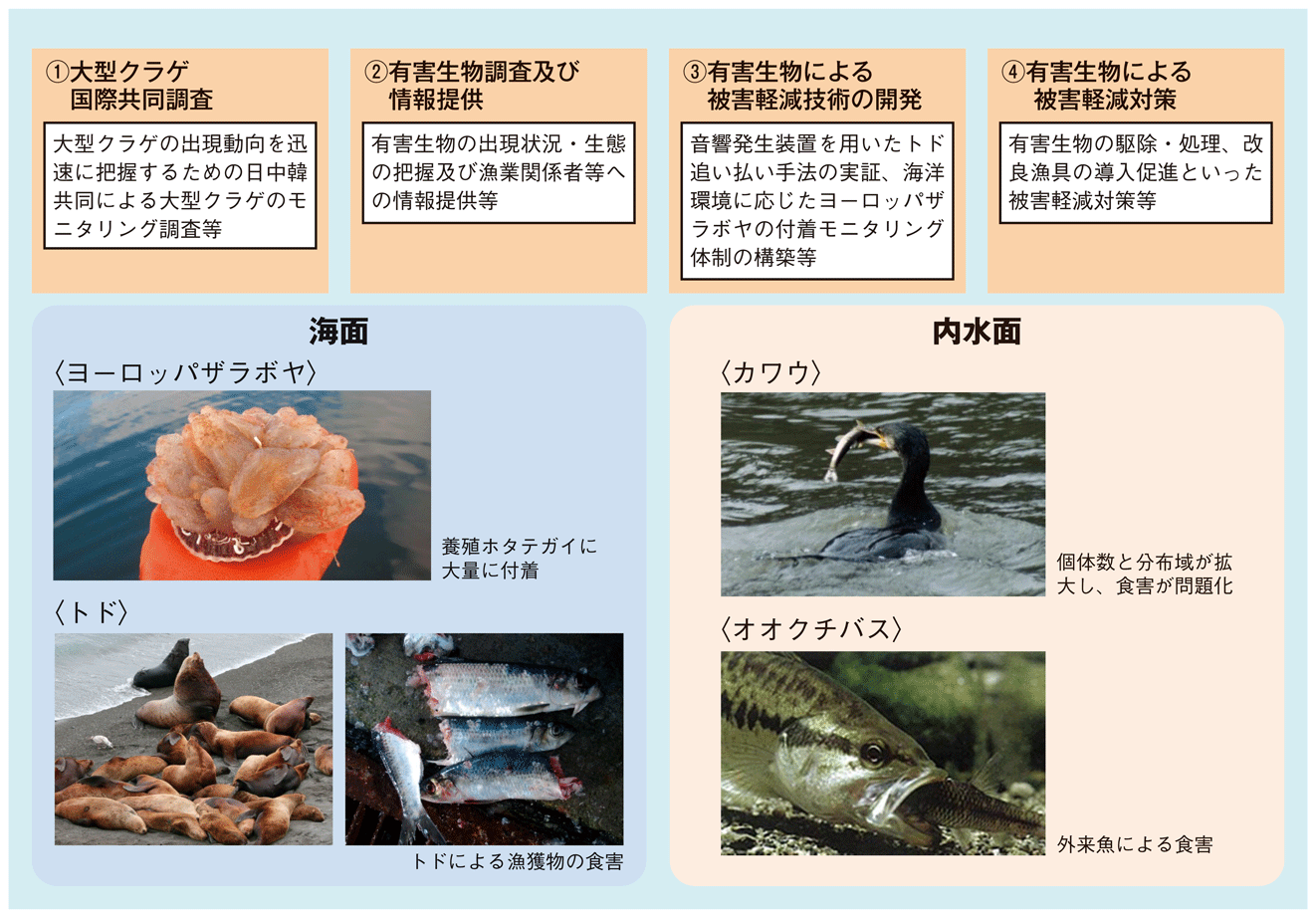 図1-16 国が行う野生生物による漁業被害対策の例