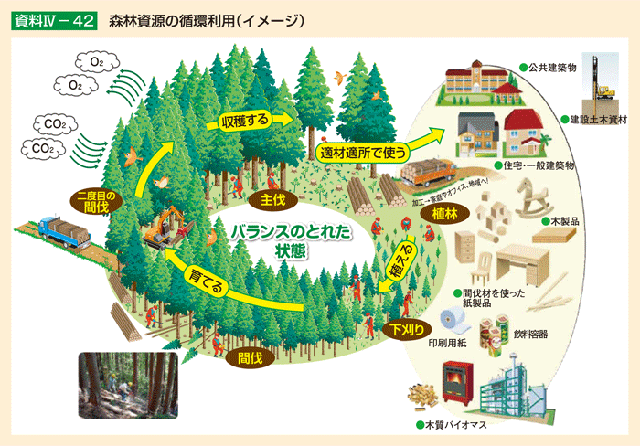 資料Ⅳ-42 森林資源の循環利用(イメージ)