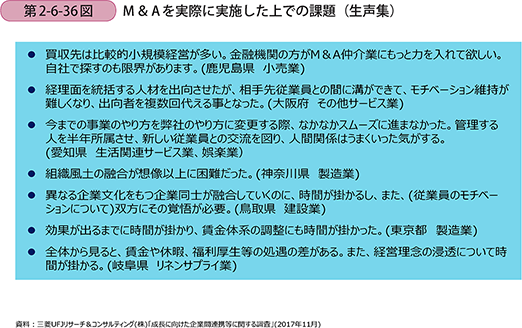 M＆Aを実際に実施した上での課題（生声集）