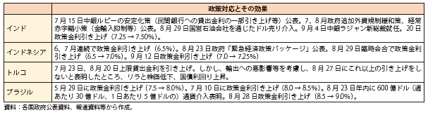 第Ⅰ-1-2-14表　新興国における通貨下支えのための政策対応