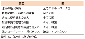 第Ⅱ-2-1-17表　アジア通貨危機発生の各国の共通要因と個別要因