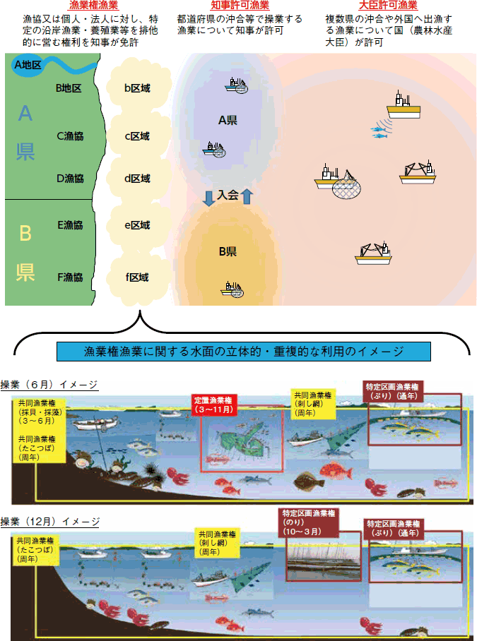 図2-1-5 漁業権制度及び漁業許可制度の概念図