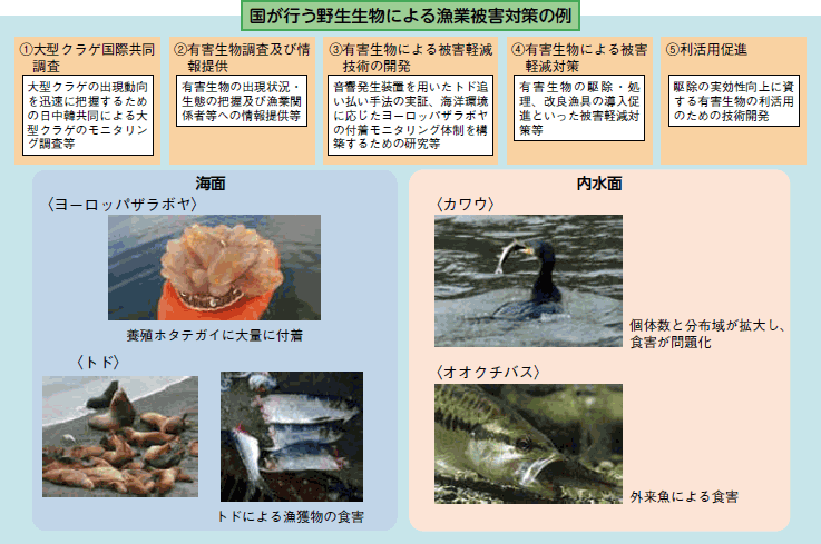 図2-1-10 国が行う野生生物による漁業被害対策の例