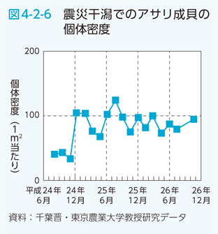 図4-2-6 震災干潟でのアサリ成貝の個体密度