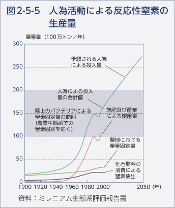 図2-5-5 人為活動による反応性窒素の生産量