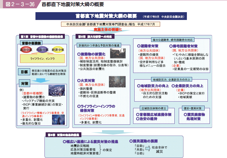 図２−３−３６ 首都直下地震対策大綱の概要