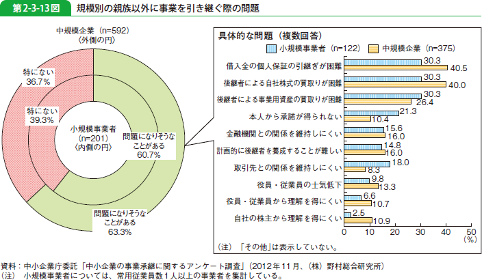 第2-3-13図 規模別の親族以外に事業を引き継ぐ際の問題