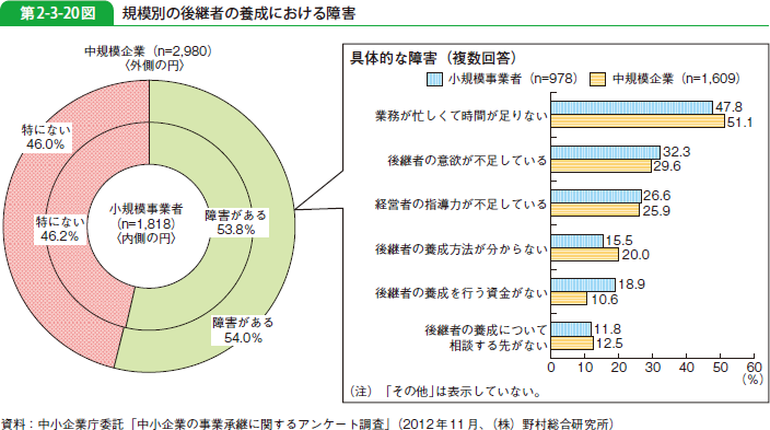 第2-3-20図 規模別の後継者の養成における障害