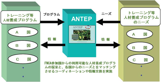 図 5-3　ANTEPの概念図