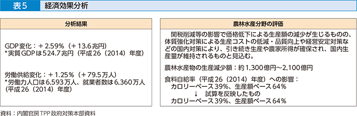 表5 経済効果分析