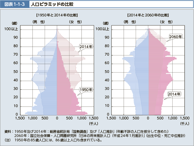 図表1-1-3 人口ピラミッドの比較