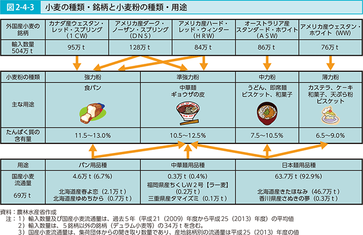 図2-4-3 小麦の種類・銘柄と小麦粉の種類・用途