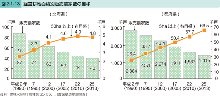 図2-1-13 経営耕地面積別販売農家数の推移