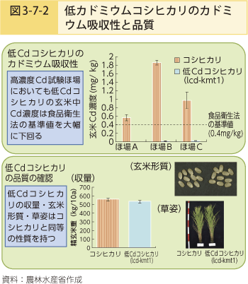 図3-7-2 低カドミウムコシヒカリのカドミウム吸収量と品質